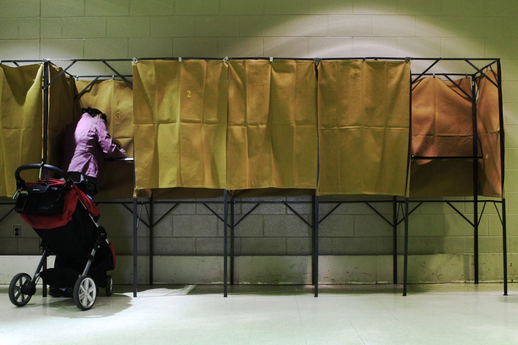 Dana and Jane At The Polls